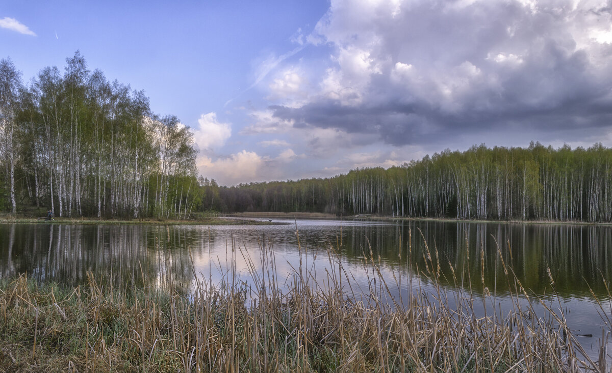 Апрель на озере - Сергей Цветков