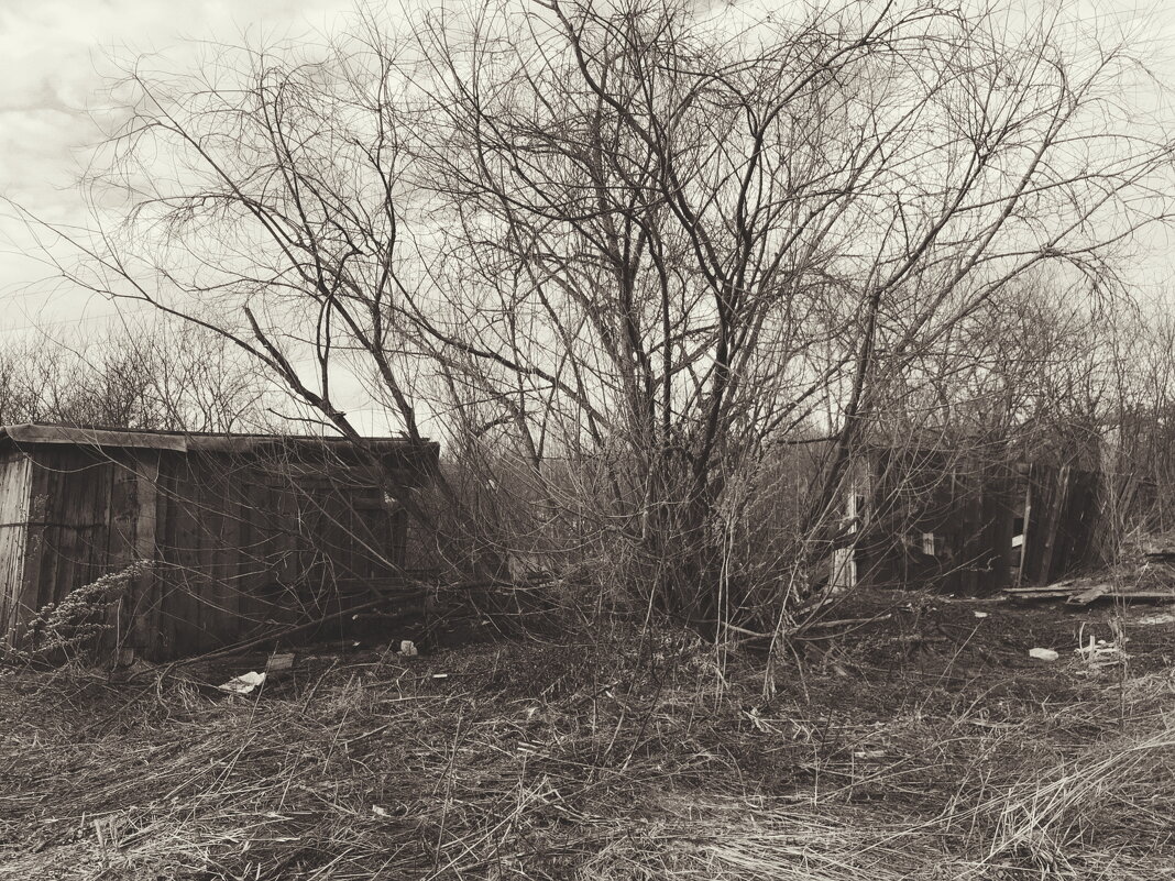 Название отсутствует - Денис Безногов