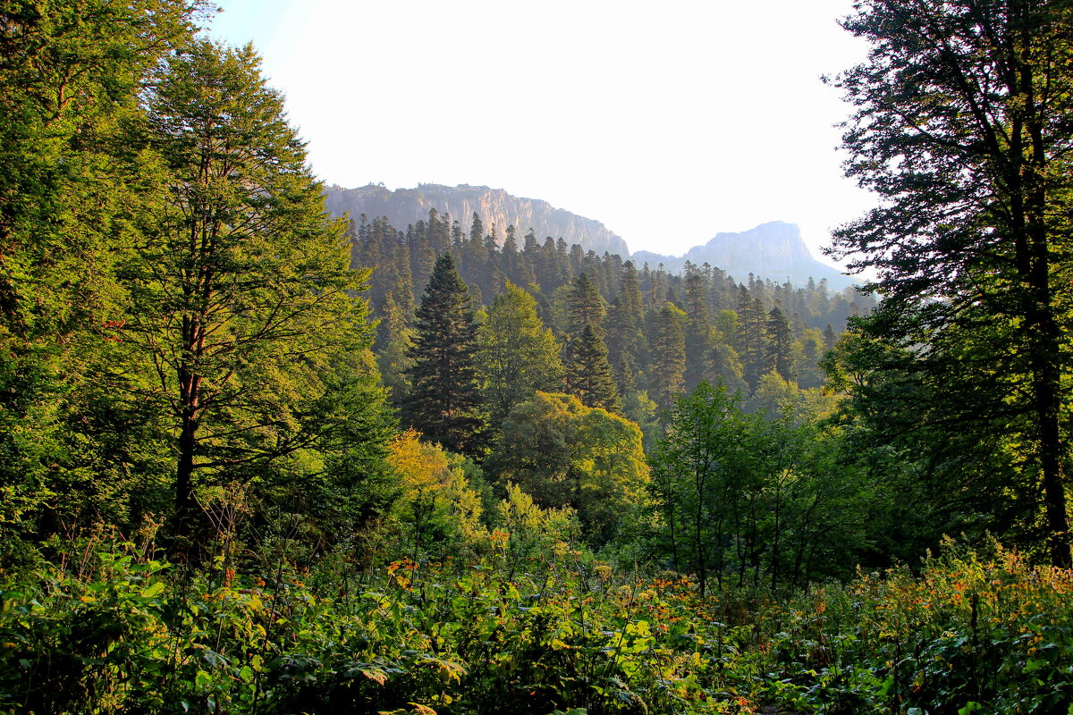 горная Адыгея - 48 - Анатолий Стрельченко горная Адыгея - 48 - Анатолий Стрельченко