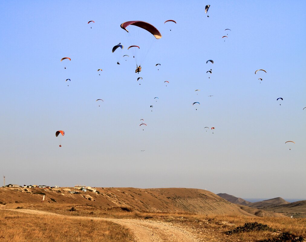 Вы летите,чувствуете ветер и легкость. - Геннадий Валеев Вы летите,чувствуете ветер и легкость. - Геннадий Валеев
