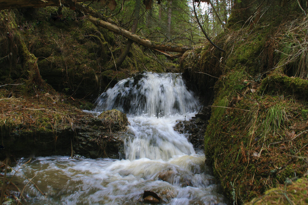 Весенний ручей - Галина Ильясова Весенний ручей - Галина Ильясова