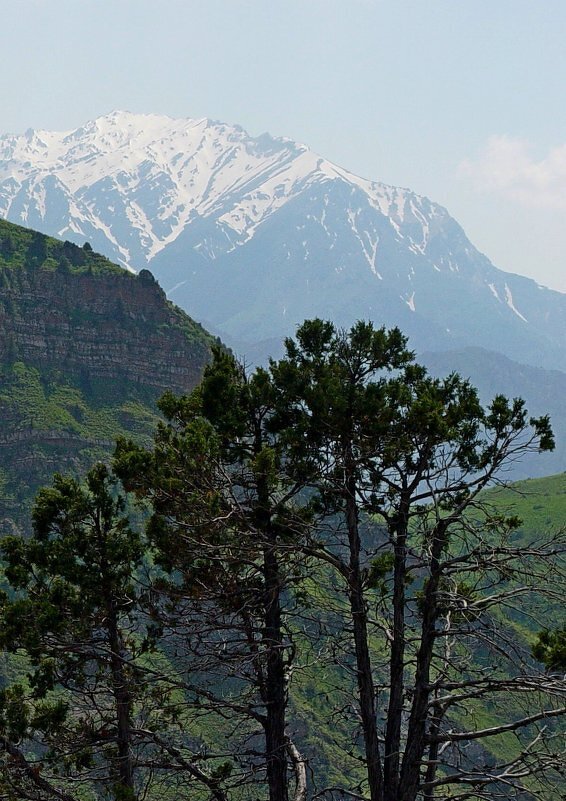 БОЛЬШОЙ ЧИМГАН, 3300м, вид со стороны. - Виктор Осипчук БОЛЬШОЙ ЧИМГАН, 3300м, вид со стороны. - Виктор Осипчук