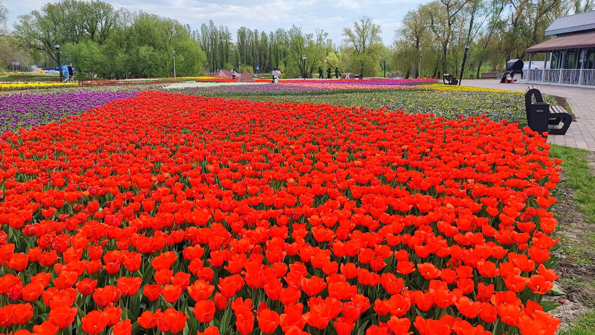 ,,, - Сергей Тимоновский