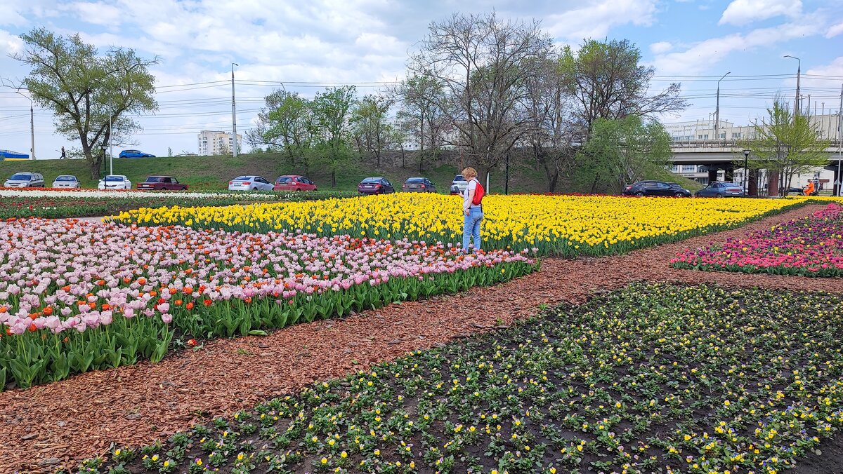 ,,, - Сергей Тимоновский