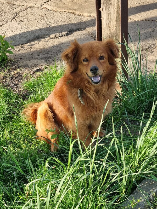 Вечерняя улыбка :) - Наталья Вечерняя улыбка :) - Наталья