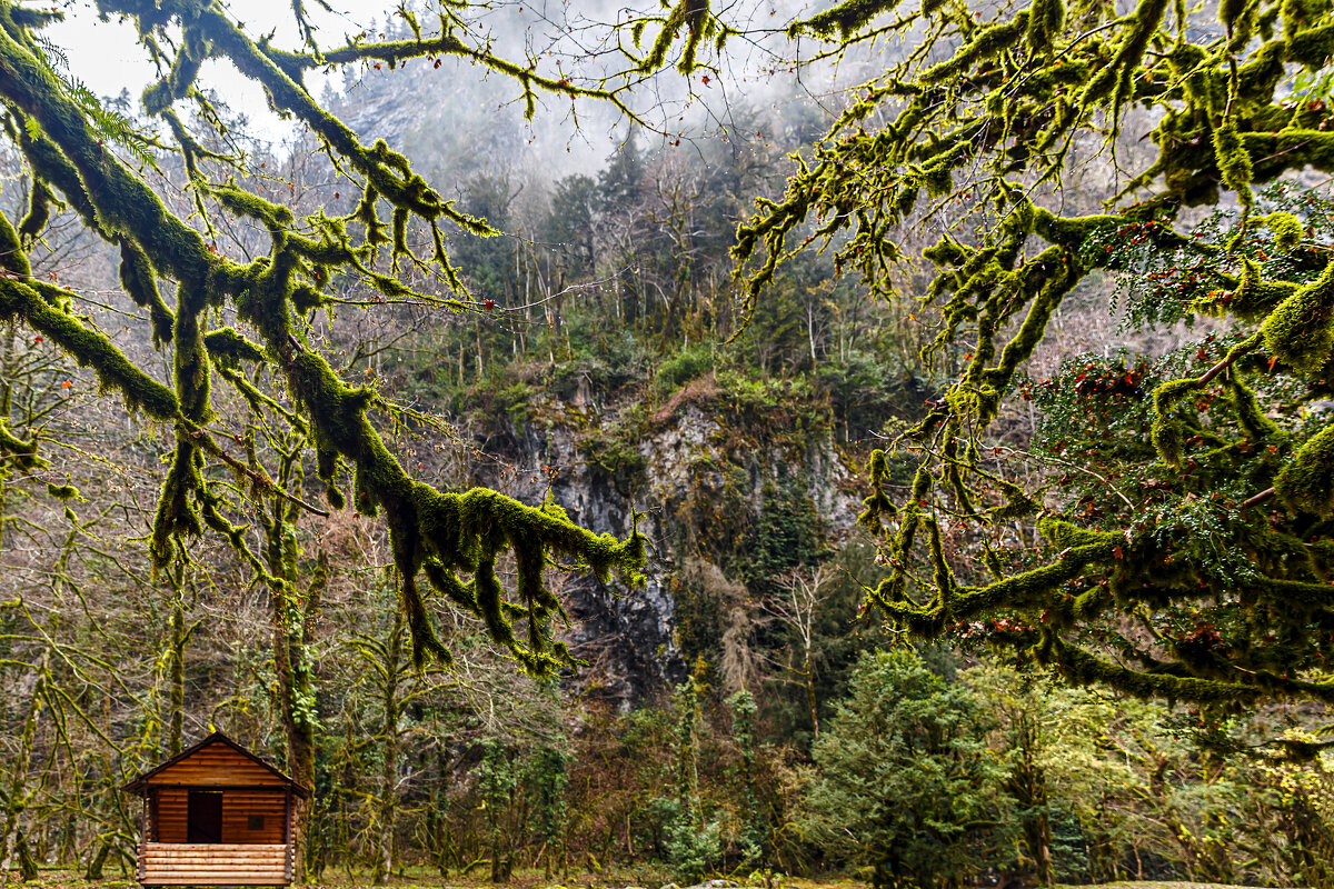 Избушка - Eugene *