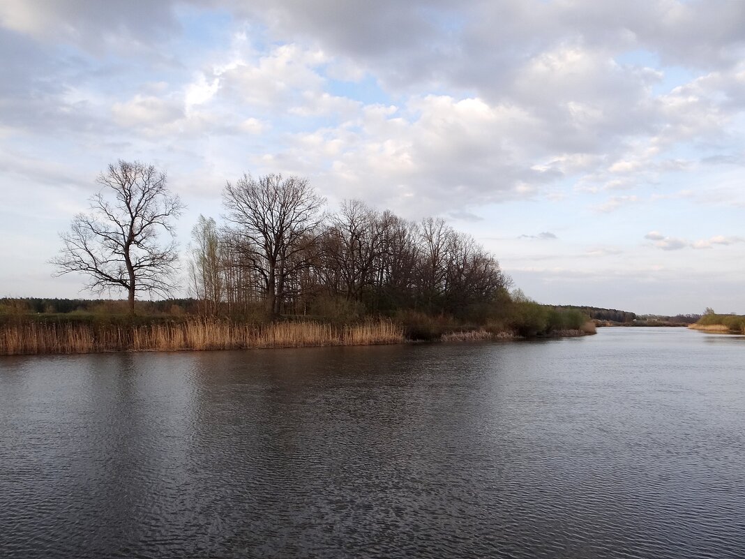 Апрельский пейзаж вечер - Антонина Гугаева Апрельский пейзаж вечер - Антонина Гугаева