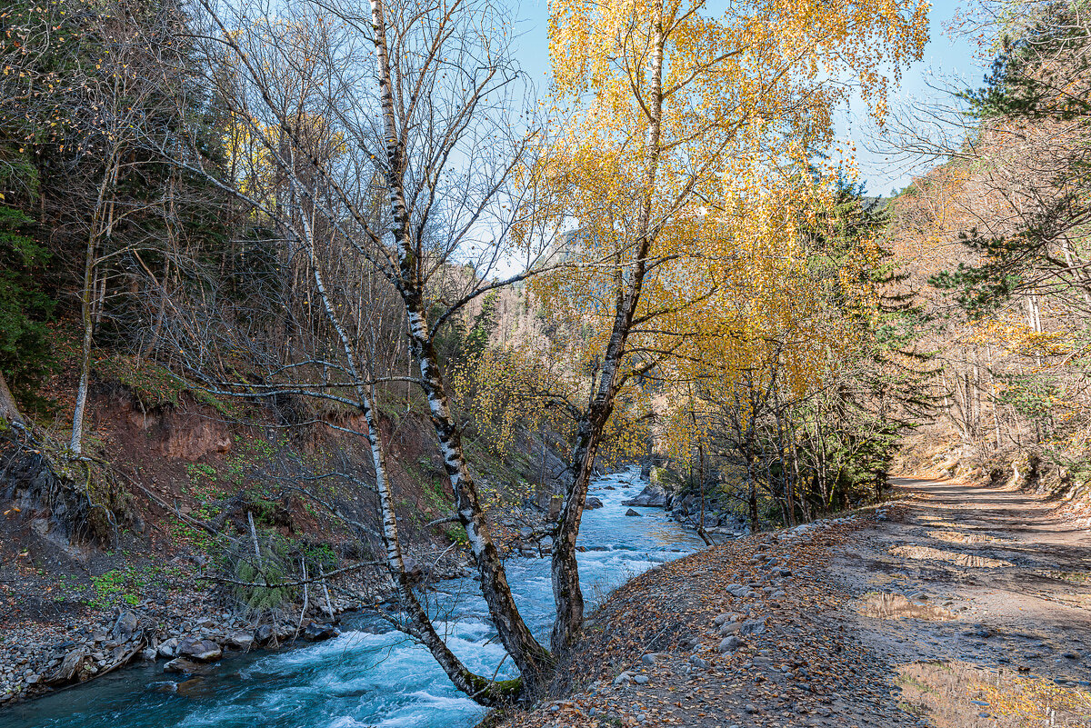 Большая Лаба - Аnatoly Gaponenko Большая Лаба - Аnatoly Gaponenko