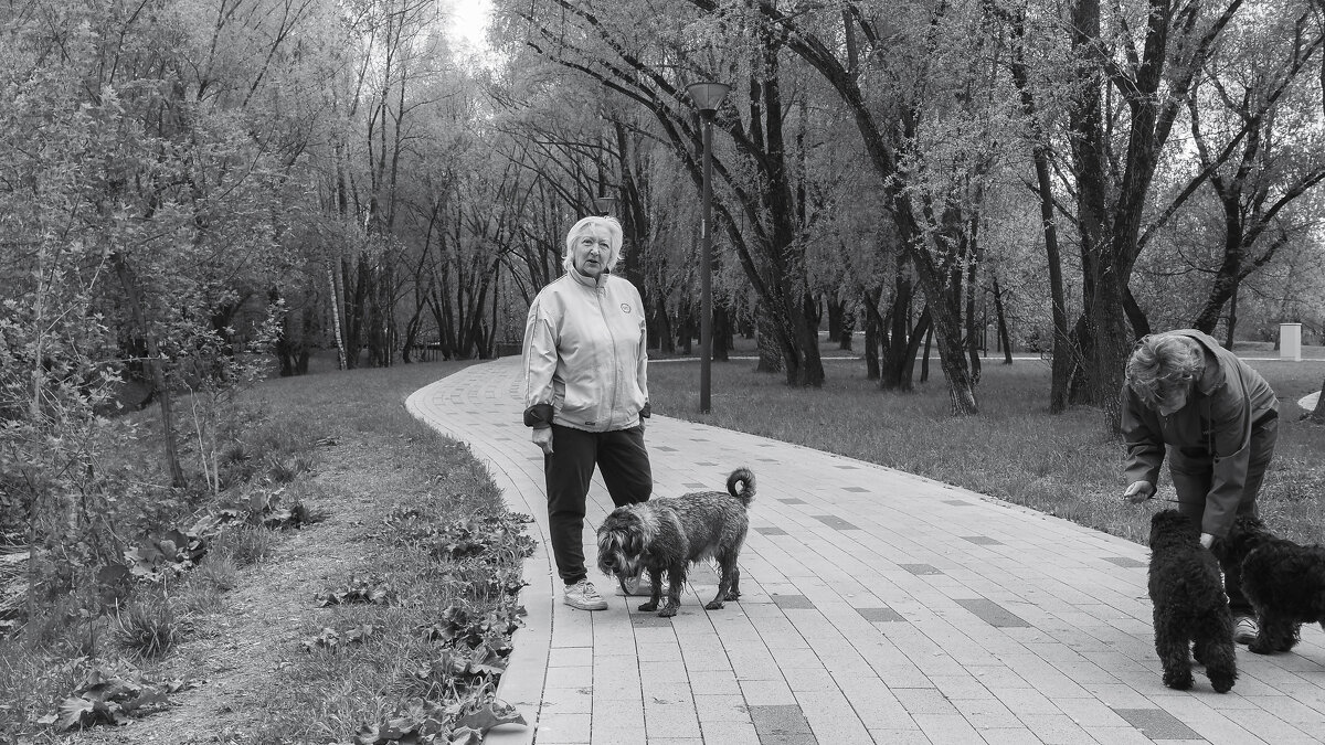 ***** - юрий поляков ***** - юрий поляков