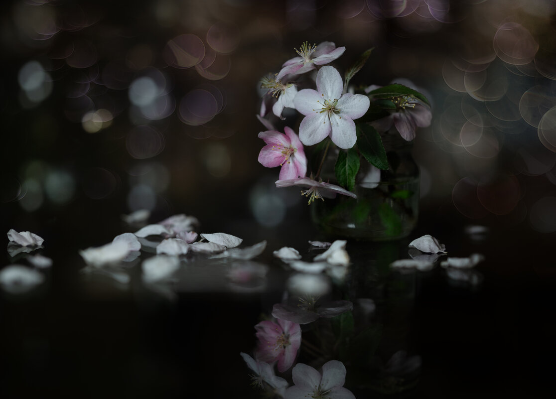 *** - Viktoria Anufrieva *** - Viktoria Anufrieva