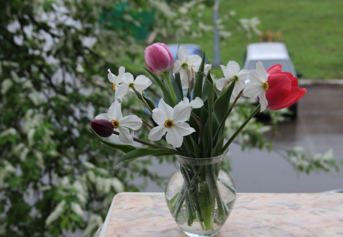 Апрель. - Венера Чуйкова