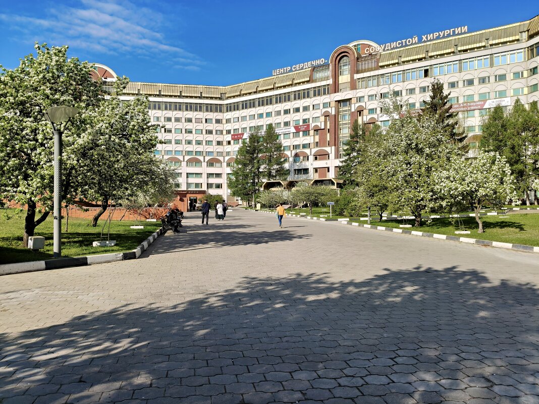 Весеннее утро - Валерий Судачок Весеннее утро - Валерий Судачок