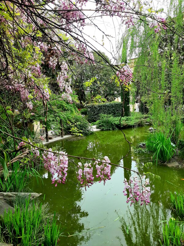 ЧЕРЕПАШЬЕ ОЗЕРО - Tata Wolf