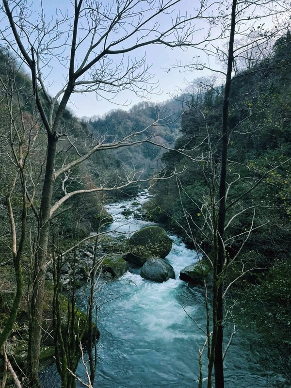 Бурливая речка - Георгиевич 