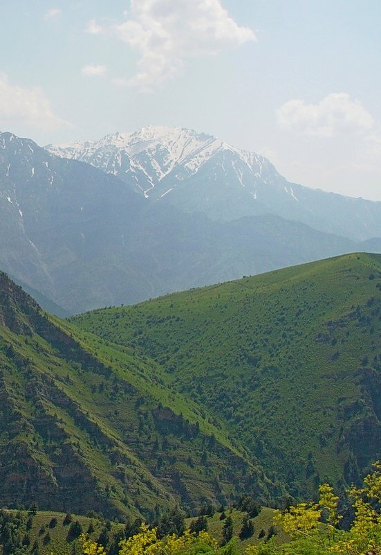 БОЛЬШОЙ ЧИМГАН, 3300м, вид со стороны. - Виктор Осипчук