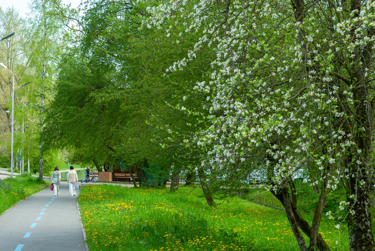 Прогулки по парку.... - Referee (Дмитрий)