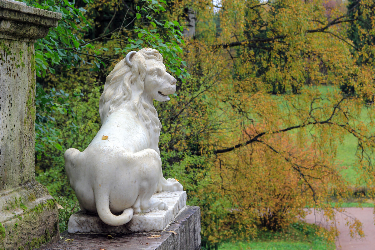 Павловск - skijumper Иванов