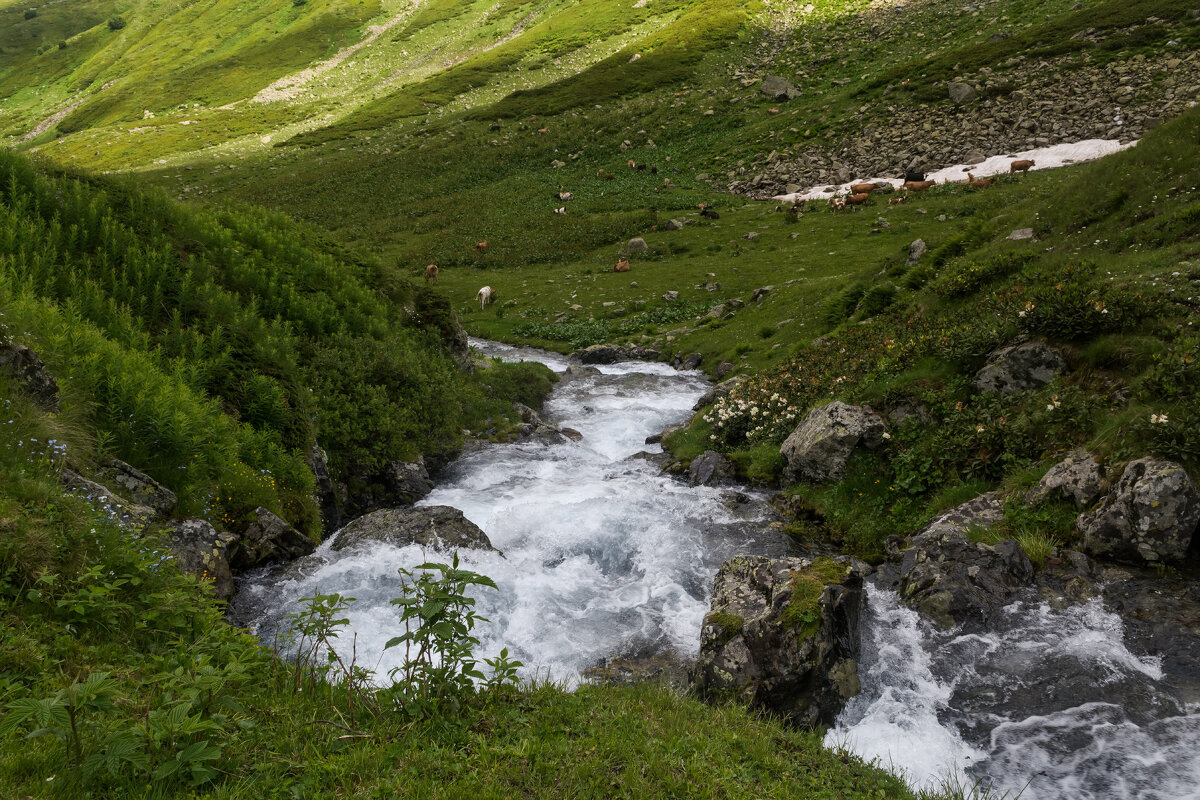 Загиб... - Сергей Лысенко Загиб... - Сергей Лысенко