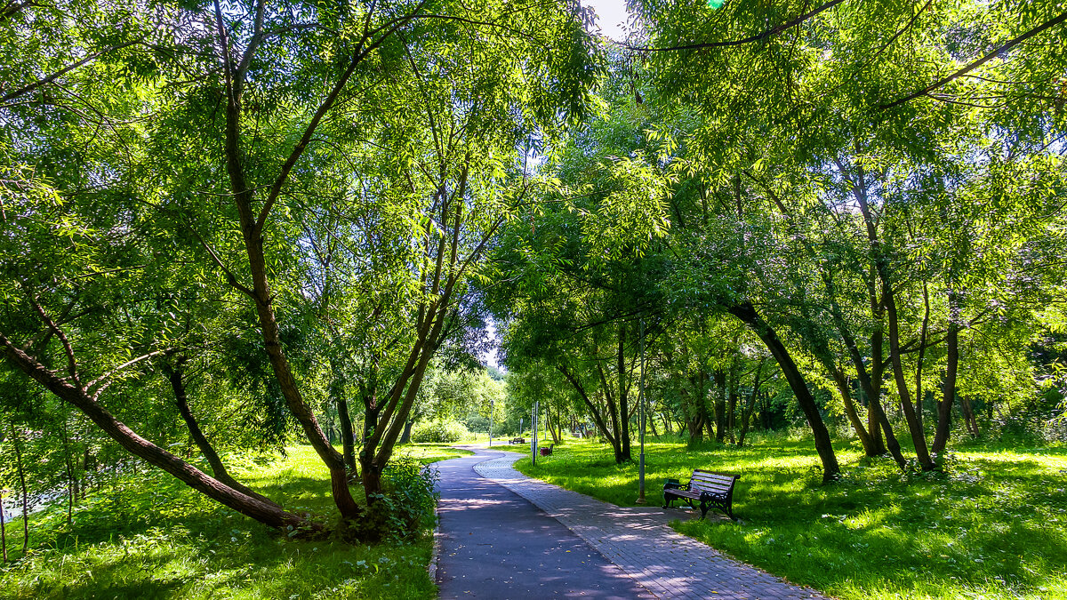 Парки Москвы - Aleksey Afonin Парки Москвы - Aleksey Afonin