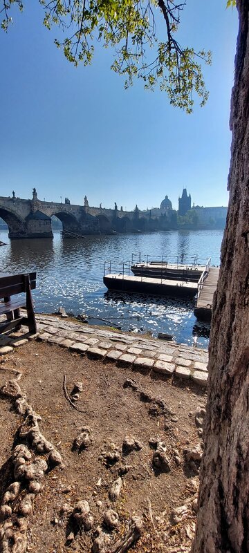 В Праге - Ирэн 