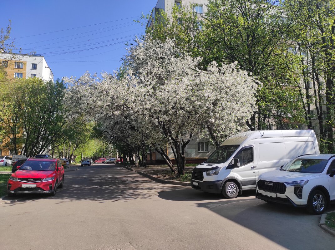 Весеннее утро - Игорь Ч. Весеннее утро - Игорь Ч.