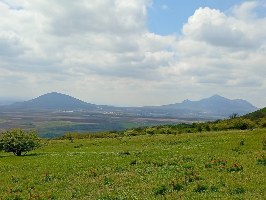 Кавминводы... на Лысой горе... - Нина Бутко