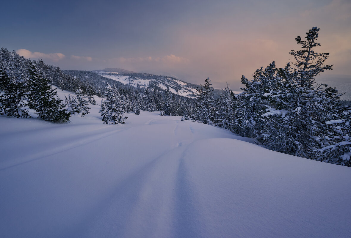* - Александр Иванов