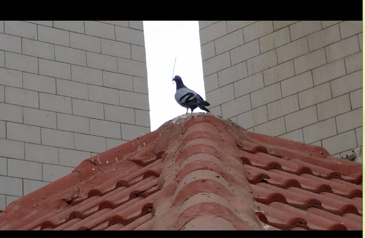 111 (44) - СТРЕН 