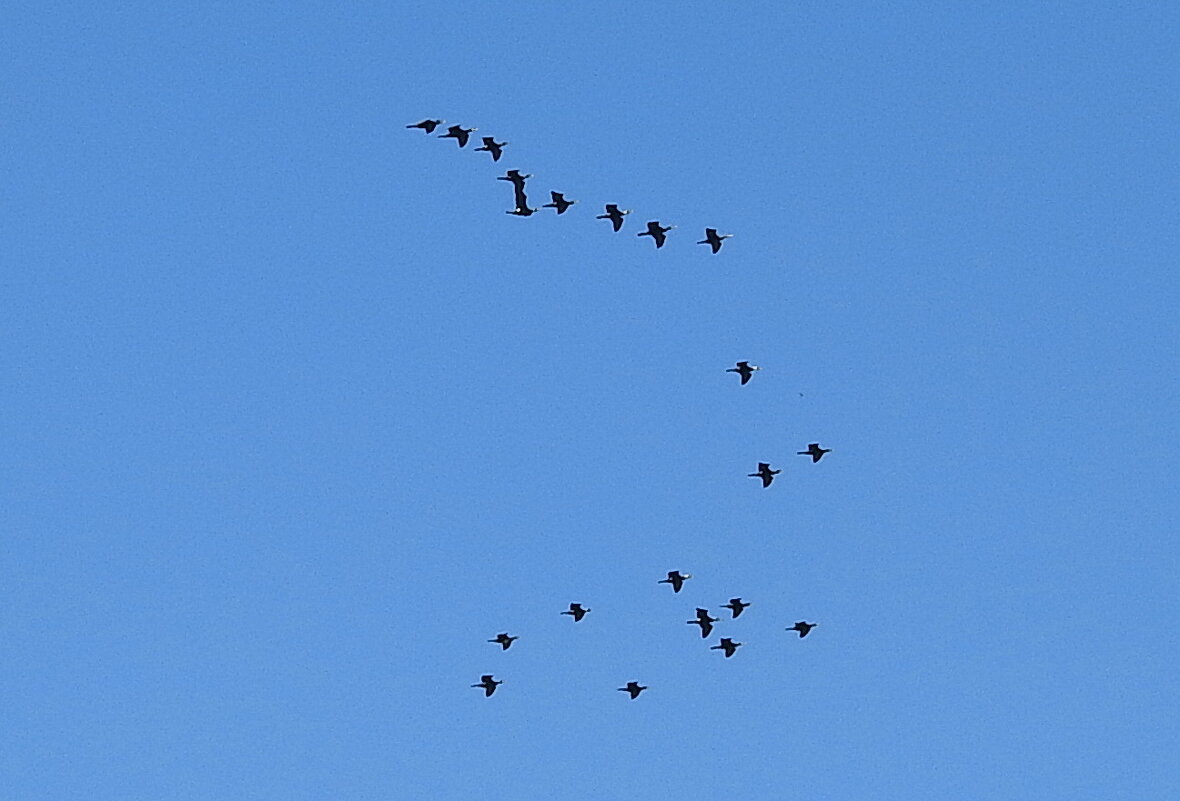 весна - ИННА ПОРОХОВА