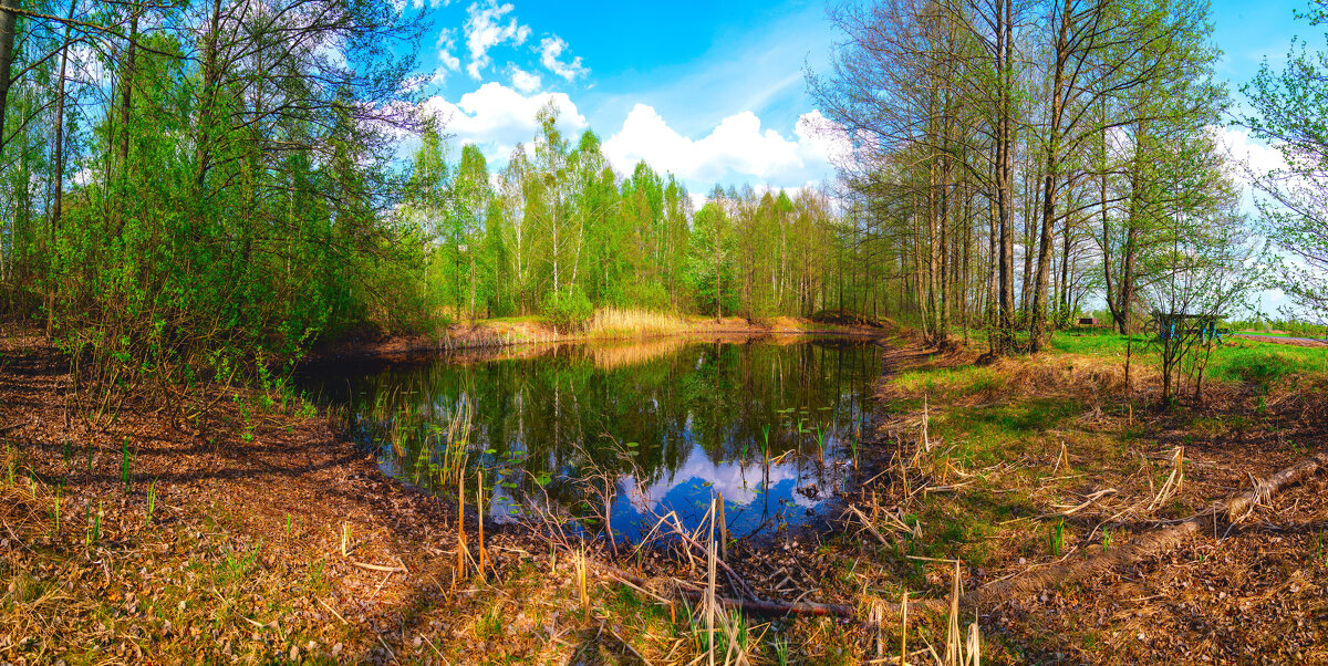 Озеро у дороги - Андрей Сосновский Озеро у дороги - Андрей Сосновский