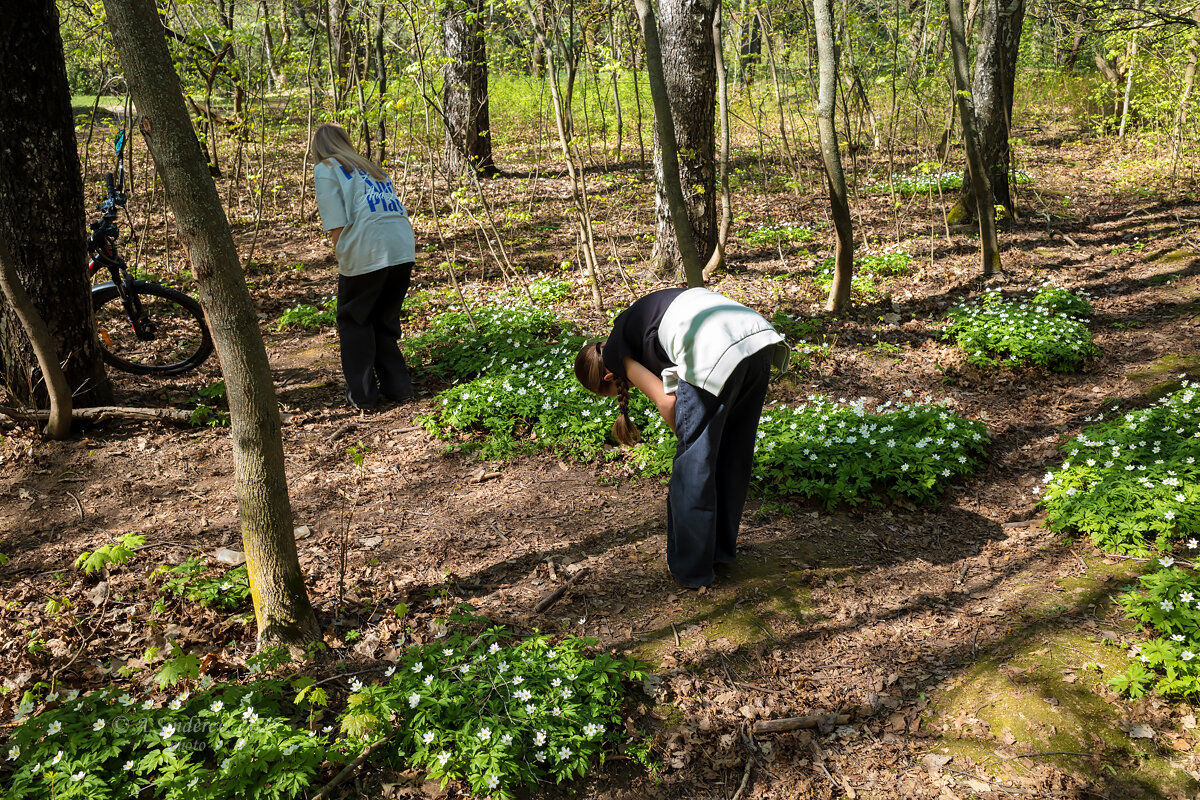 Девочки фотографируют цветы - Александр Синдерёв