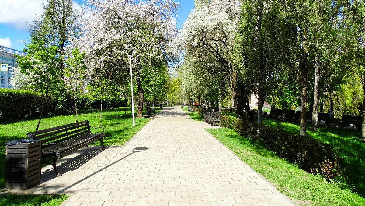 О Смоленске - Милешкин Владимир Алексеевич О Смоленске - Милешкин Владимир Алексеевич