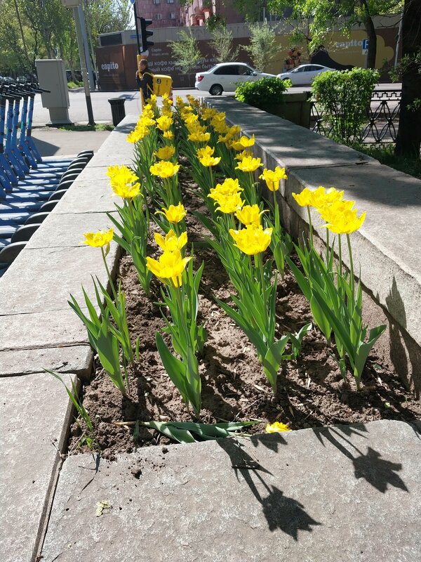 Almaty. - Murat Bukaev 