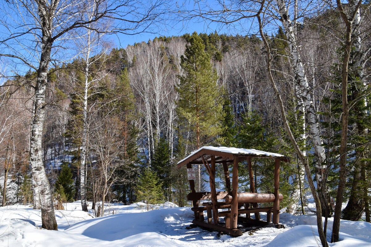 Март в Алтайском крае - Владимир Звягин