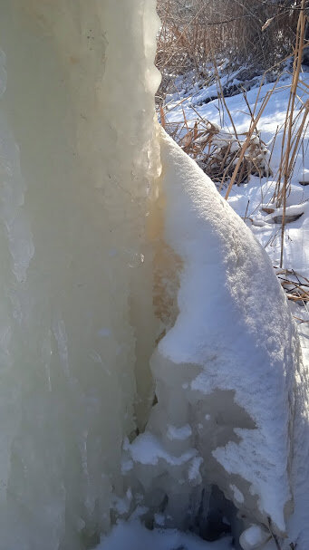вариации на тему    февраль - Елена Шаламова