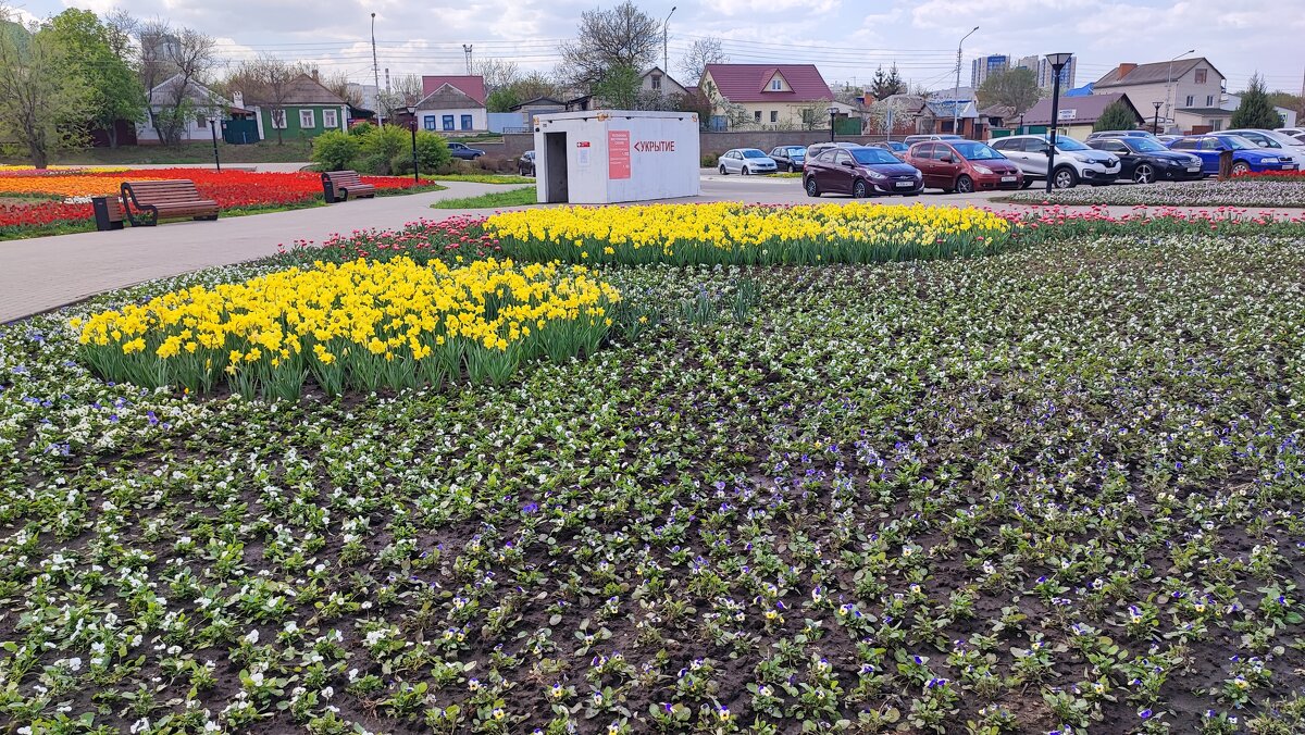 ,,, - Сергей Тимоновский ,,, - Сергей Тимоновский