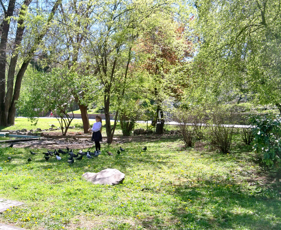 Девочка и голуби - Валентин Семчишин