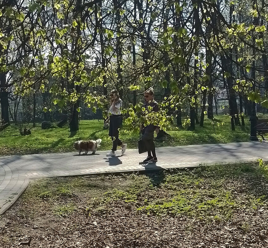 *** - Валентина Береснева *** - Валентина Береснева