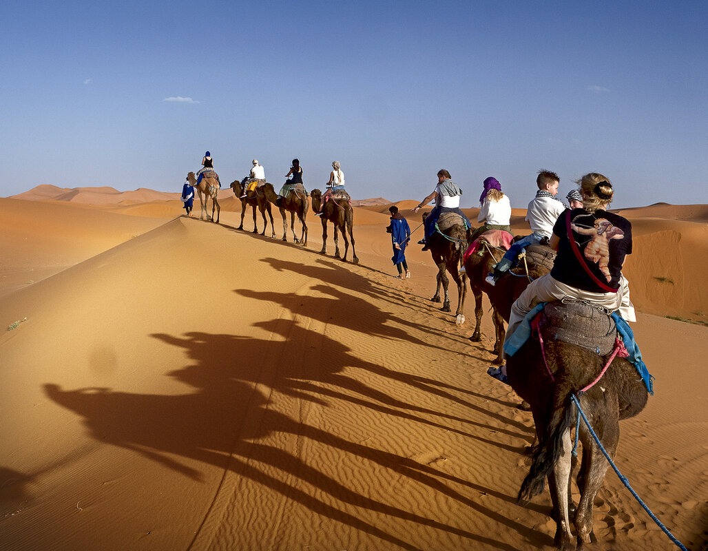 Караван - Виталий Авакян Караван - Виталий Авакян