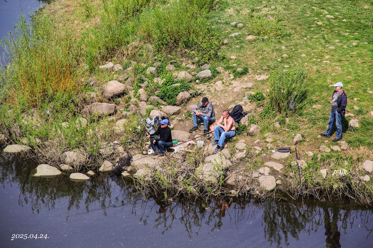 *** - Роланд Дубровский *** - Роланд Дубровский