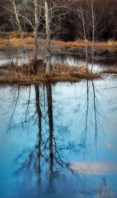 Вешние воды - Людмила Фил Вешние воды - Людмила Фил