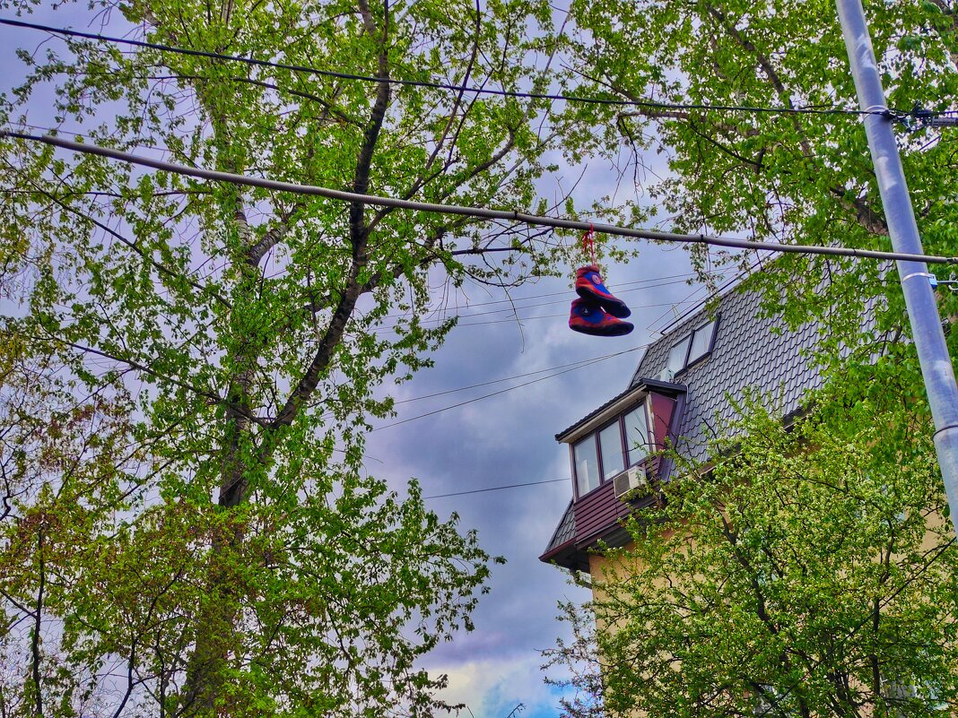 **** - Алексей Архипов