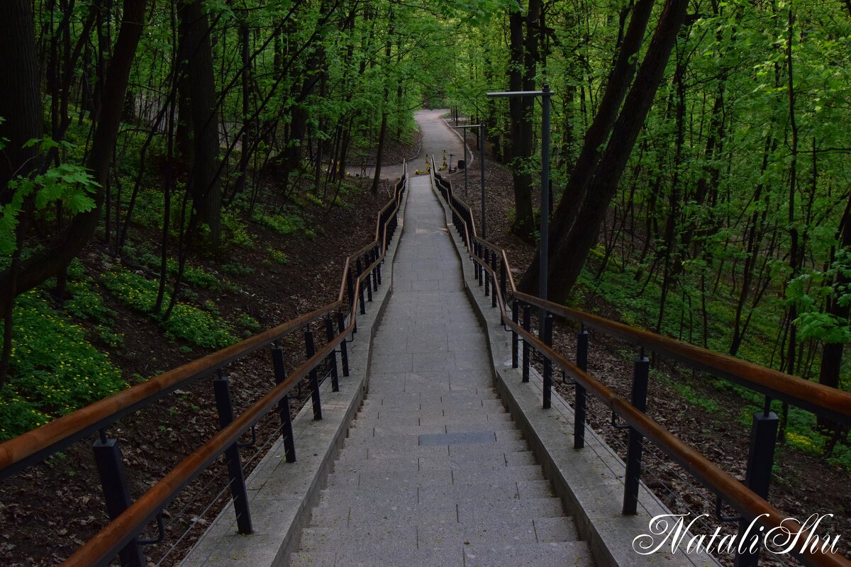 *** - Наталья Вязигина