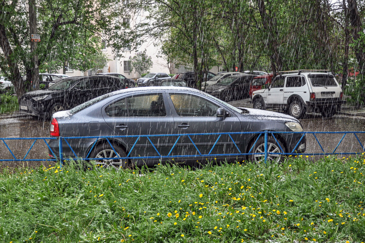 И дождь, и снег, и ветер - Татьяна Машошина