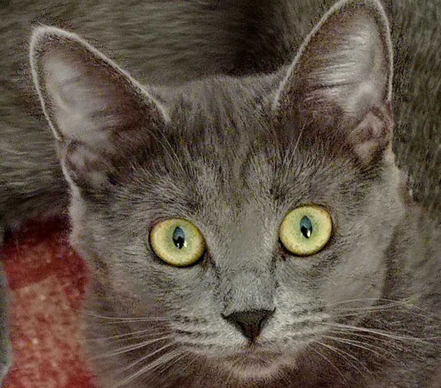 Взгляд - Александр Чеботарь Взгляд - Александр Чеботарь