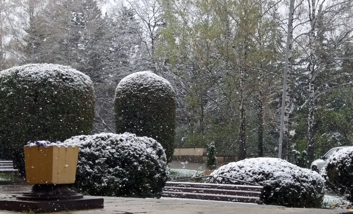 Апрельский снег - Galina Solovova