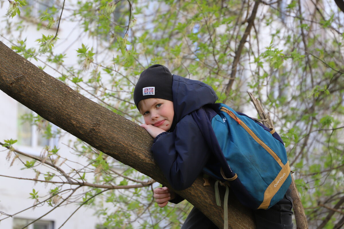 Миша - краснов юрий Миша - краснов юрий