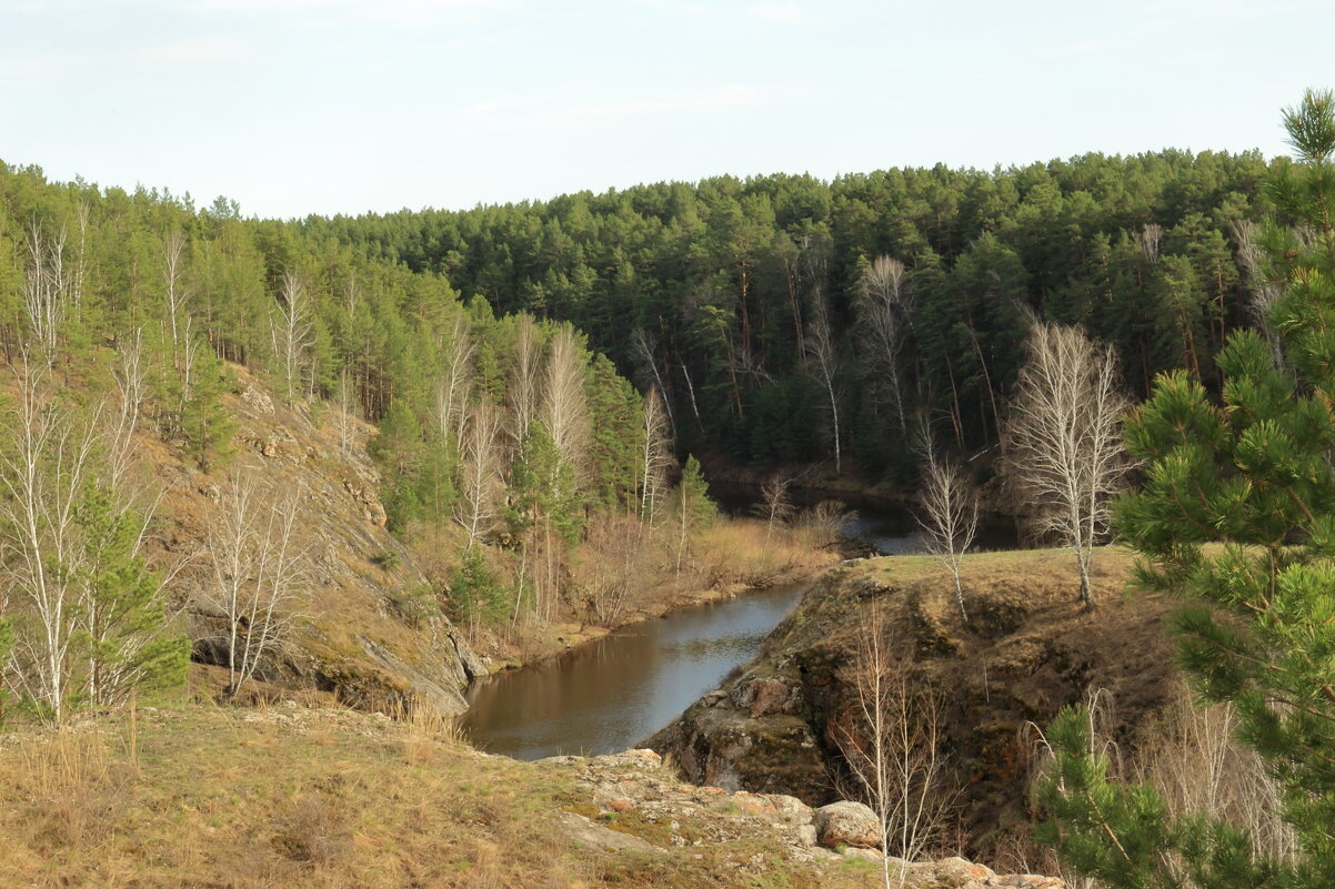 Каменка. - Александр Николаев