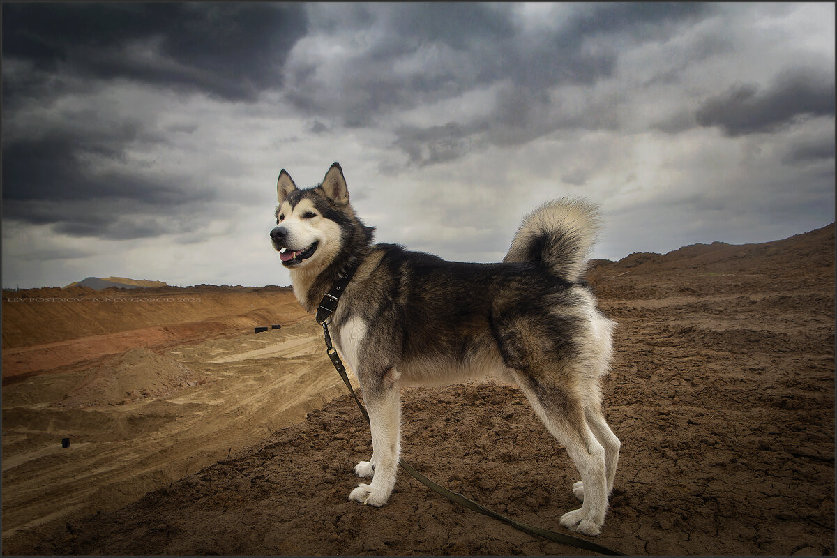 Ярик. - leff Postnov