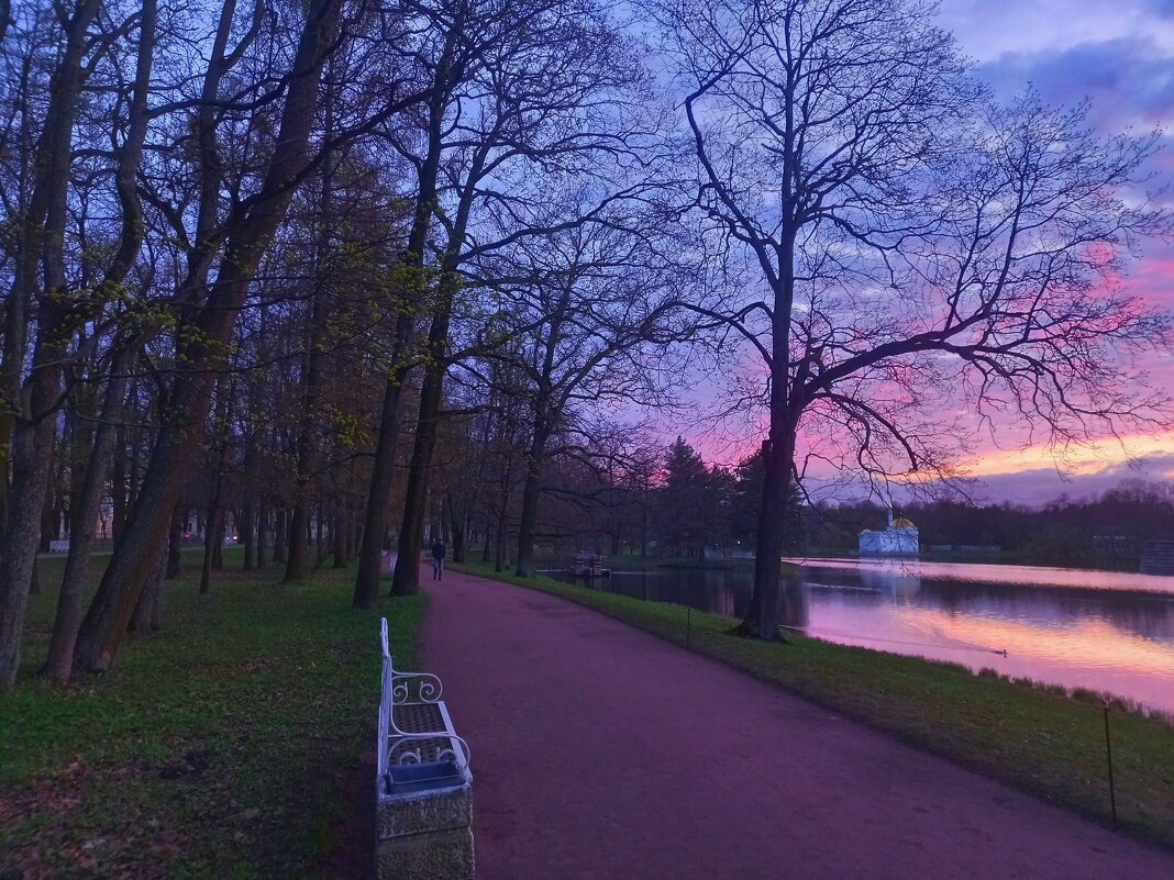 Закат - Сапсан 